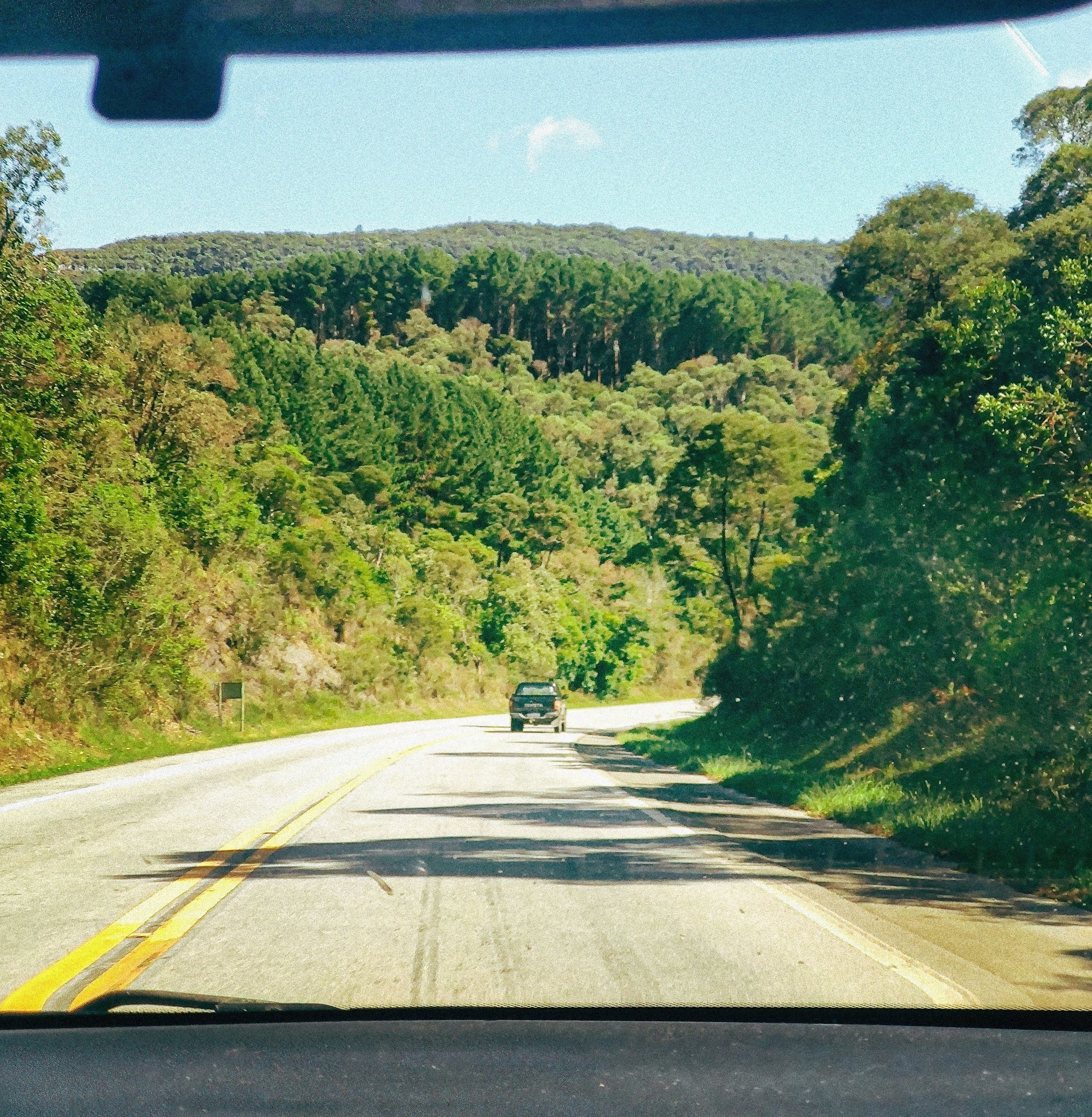 view of the road and trees from the front seat of a car.